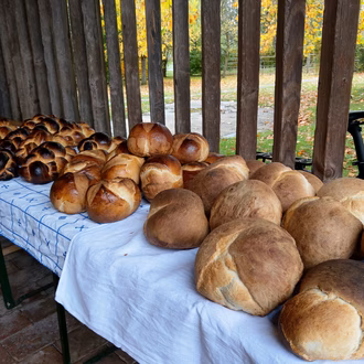 9d807967-82c1-49b2-9fee-8025c1cc37b1